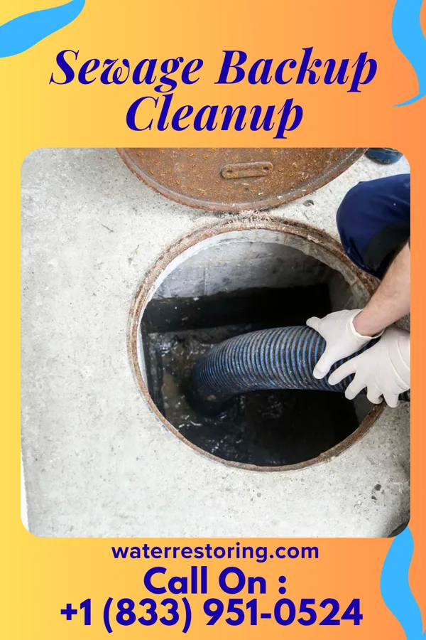 Sewage Backup Cleanup in Monango, ND
