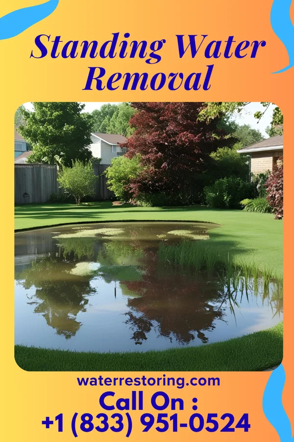 Standing Water Removal in Monango, ND
